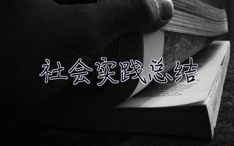 社会实践总结 社会实践总结500字