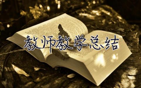 教师教学总结 教师教学总结 个人总结