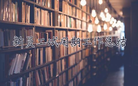 新员工试用期工作总结 新员工试用期工作总结500字