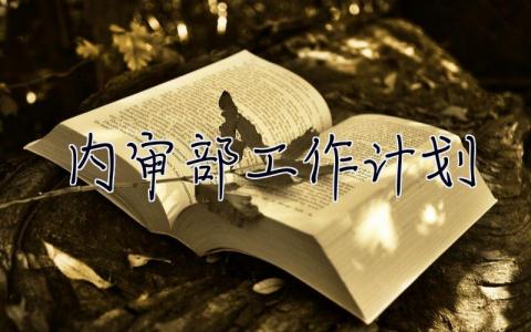 内审部工作计划 内审部工作计划怎么写