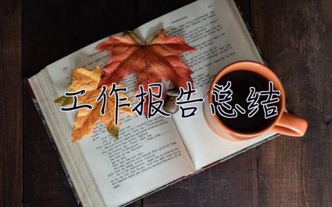 工作报告总结 工作报告总结范文