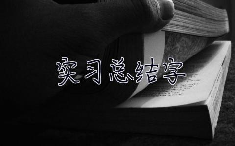 实习总结3000字 顶岗实习总结3000字