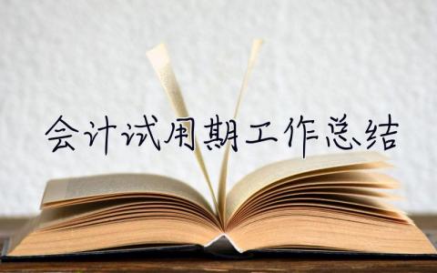 会计试用期工作总结 会计试用期工作总结及转正申请