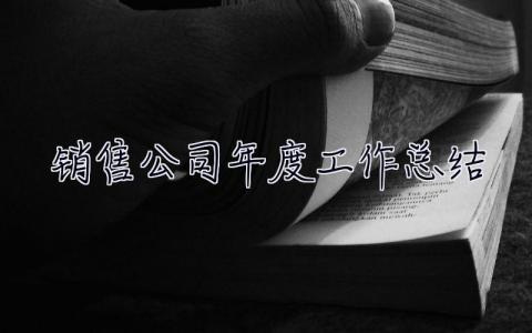 销售公司年度工作总结 销售公司年度工作总结报告