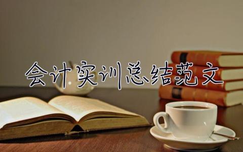 会计实训总结范文 会计实训总结范文模板