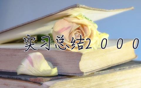 实习总结2000字 实习总结及体会