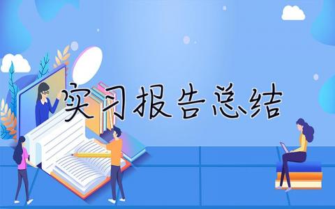 实习报告总结 实习总结表