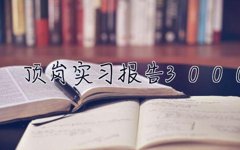 顶岗实习报告3000字 顶岗实习报告