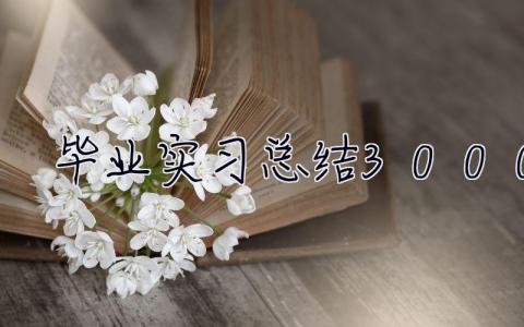 毕业实习总结3000字 毕业生实习总结