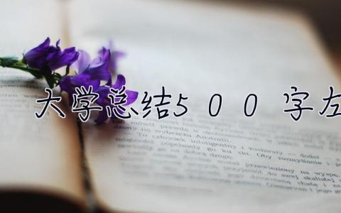 大学总结500字左右 大学总结