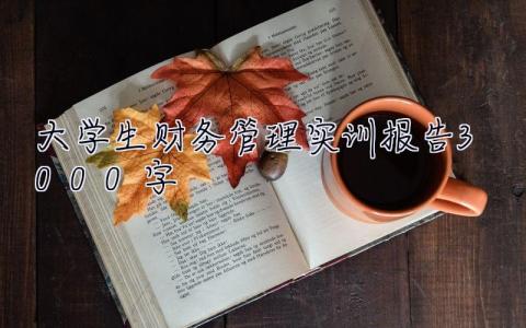 大学生财务管理实训报告3000字  财务管理实习报告