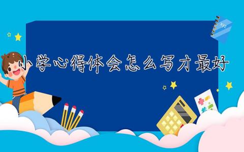 小学心得体会怎么写才最好 学习心得怎么写