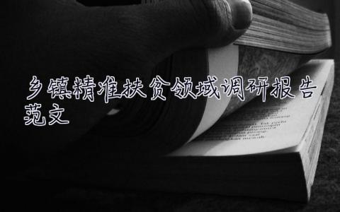 乡镇精准扶贫领域调研报告范文 乡镇精准扶贫领域调研报告