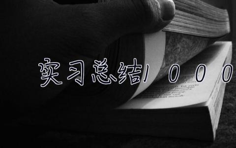 实习总结1000字 实习总结报告