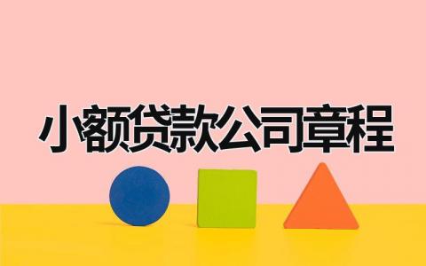 小额贷款公司章程 小额贷款公司制度汇编 (6篇）