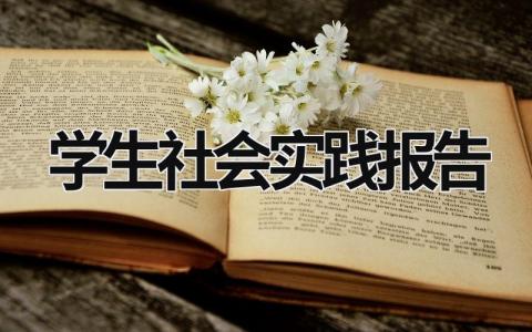 学生社会实践报告  (17篇）