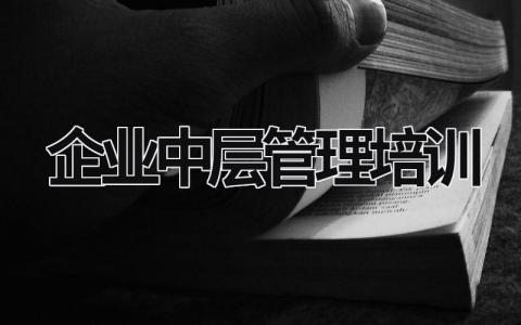 企业中层管理培训 企业中层管理培训课程 (15篇）