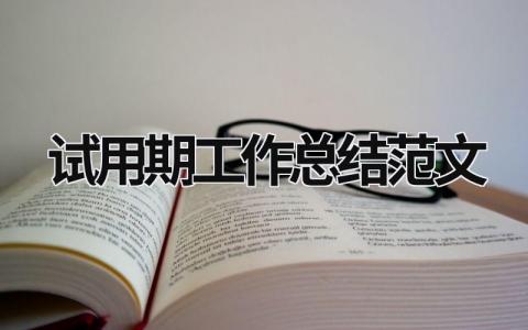 试用期工作总结范文 新聘用人员试用期工作总结范文 (15篇）