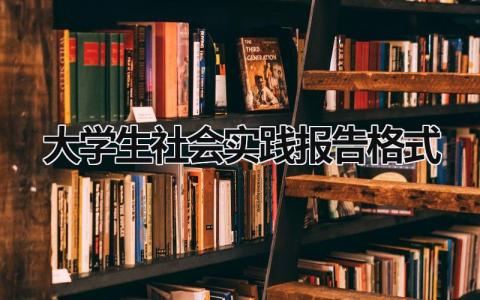 大学生社会实践报告格式 大学生社会实践报告格式模板 (19篇）