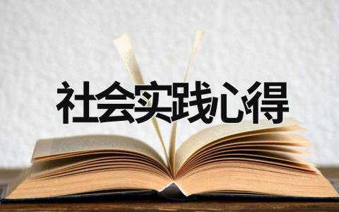 社会实践心得 社会实践心得体会100字 (15篇）