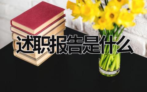 述职报告是什么 述职报告是什么级别的人写的 (7篇）