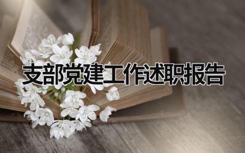 支部党建工作述职报告 支部抓党建述职报告 (13篇）