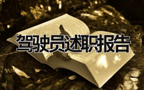 驾驶员述职报告2023 驾驶员述职报告2023年 (17篇）