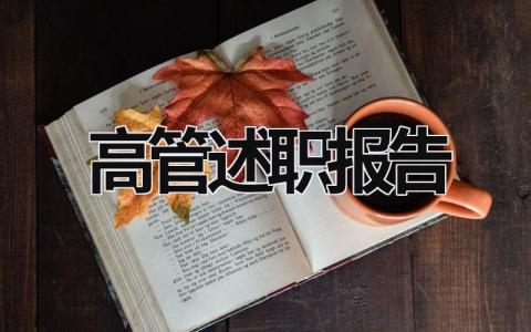 高管述职报告 高管述职报告范文 (19篇）